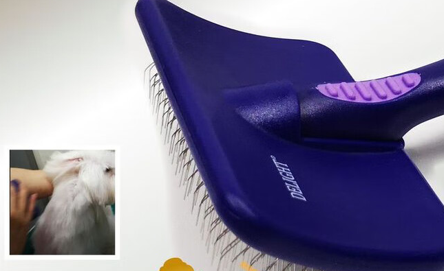 迪莱特船记双紫星宠物针梳，让拉毛变轻松