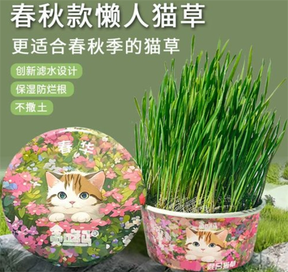 贪吃马猫草是小麦吗 贪吃马猫草是小麦吗