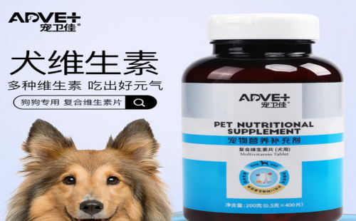 宠卫佳