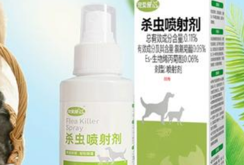 宠爱屋宠物品牌市场反馈与评价