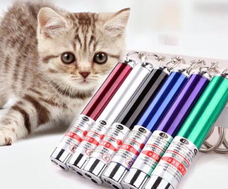 派乐特逗猫棒有什么用 派乐特逗猫棒有什么用
