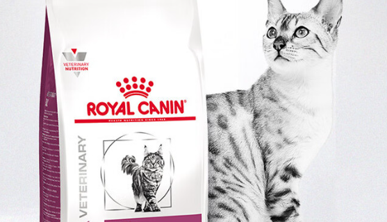 皇家赞臣猫粮多少钱一袋