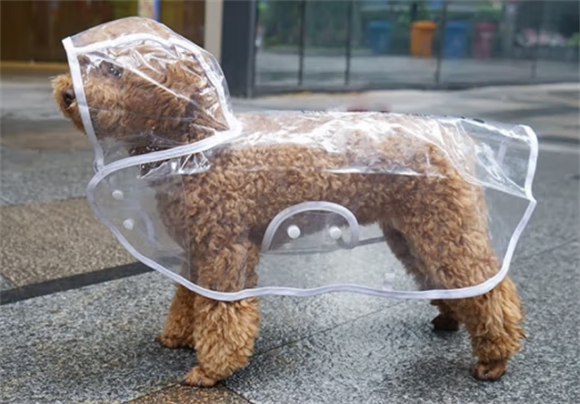 tinghao挺好宠物雨衣反光吗