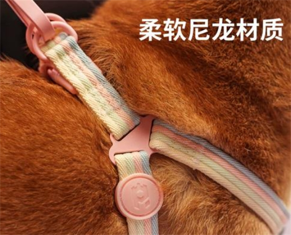 派思维宠物玩具公司在哪