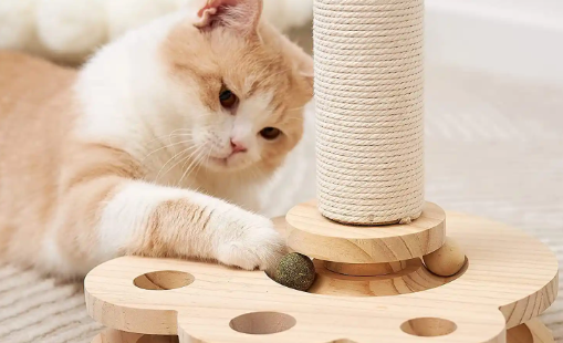 猫玩具有哪些推荐