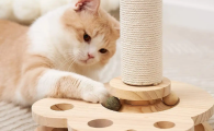 猫玩具有哪些推荐