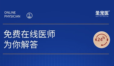 圣宠医这个品牌好吗