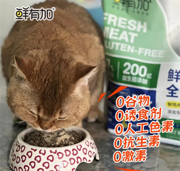鲜有加属于什么档次 鲜有加属于什么档次