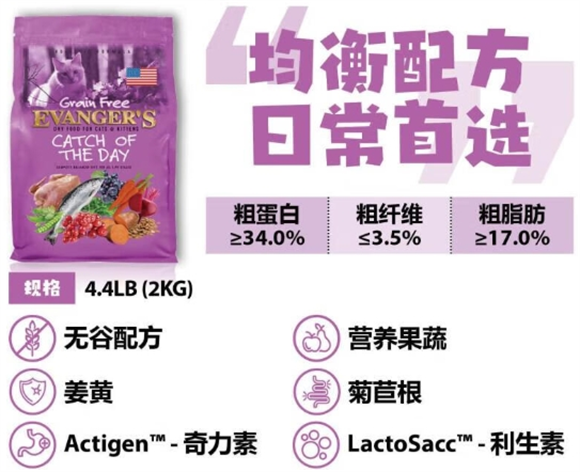 伊凡哲属于什么档次 伊凡哲属于什么档次