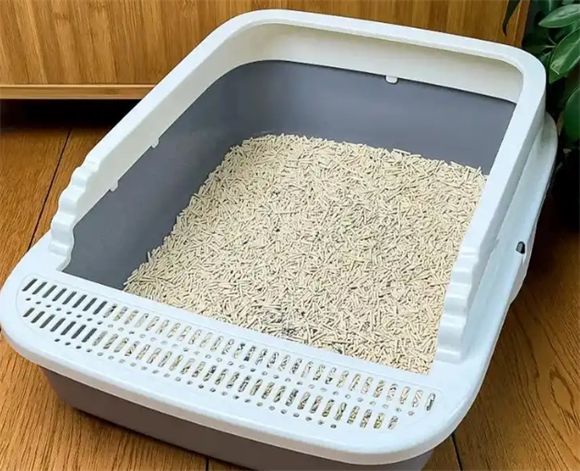 猫砂盆最忌的三个东西 猫砂盆最忌的三个东西