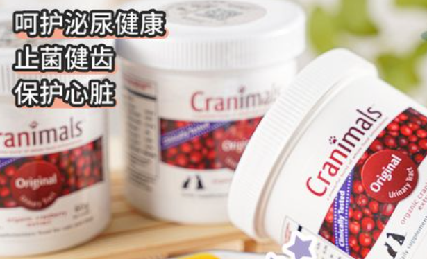 克雷蒙蔓越莓粉猫咪多久吃一次 克雷蒙蔓越莓粉猫咪多久吃一次