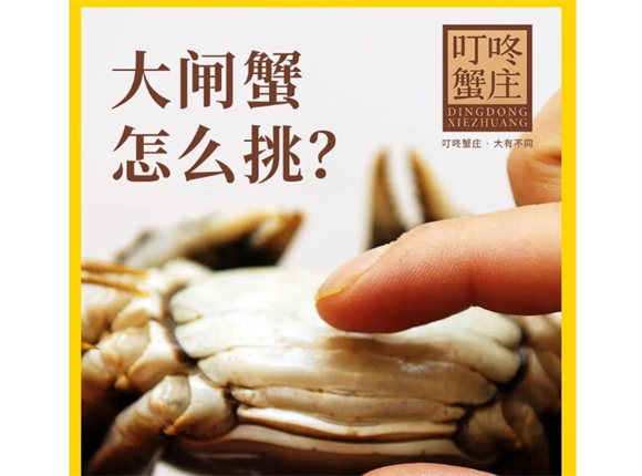 叮咚蟹庄是阳澄湖大闸蟹吗