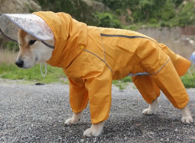 山头林村狗狗雨衣有必要买吗 山头林村狗狗雨衣有必要买吗