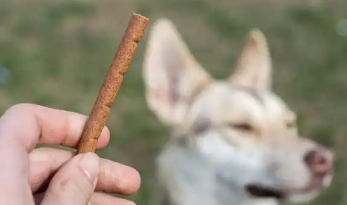 宠物训练零食怎么吃