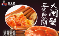 蟹大伯大闸蟹怎么买