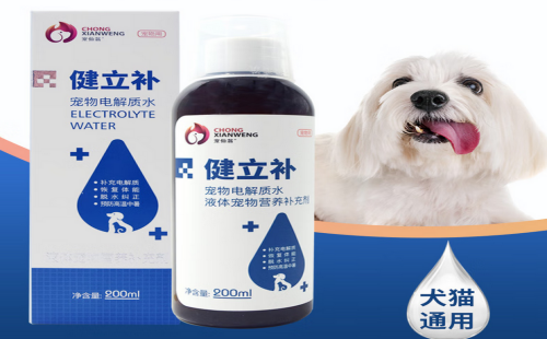 宠仙翁