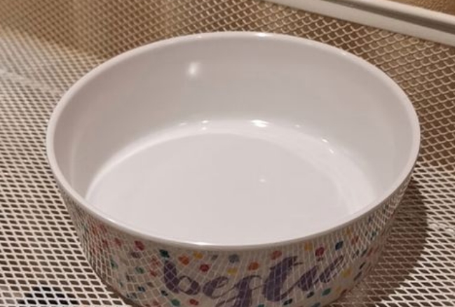 小爪星球狗碗耐摔吗