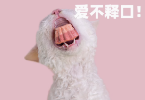 妙趣一刻（MESSQUARTER）猫冻干配料都有哪些