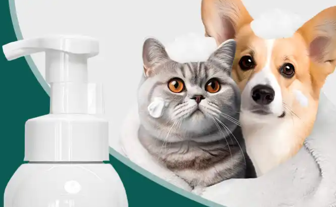Royal pet宠物用品的介绍，速来了解