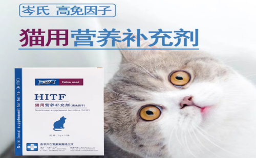 岑氏