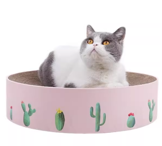 坏小宠猫窝选哪种好 坏小宠猫窝选哪种好