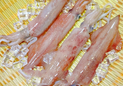 胆固醇高可以吃鱿鱼吗