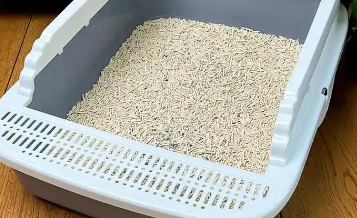 猫砂盆是不是越大越好