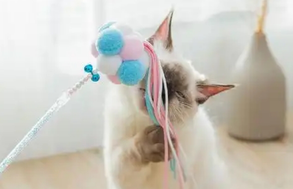 派乐特逗猫棒一次玩多久合适
