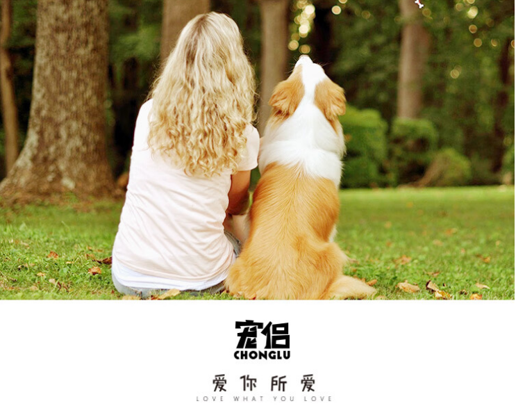 宠侣狗零食:给狗狗的美味与健康 宠侣狗零食:给狗狗的美味与健康