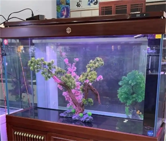 鱼缸过滤器哪种最好最实用