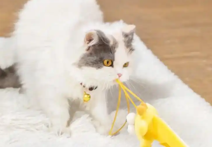 萌嘟星宠逗猫棒质量怎样