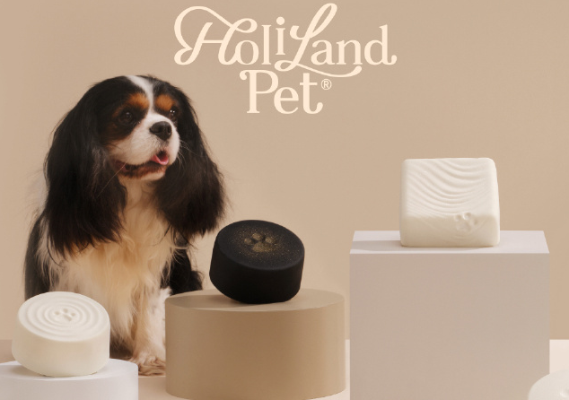 HOLILANDPET宠物蛋糕有市场吗