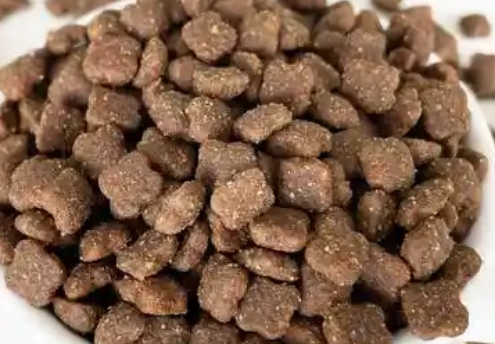 趣茄狗粮属于什么档次