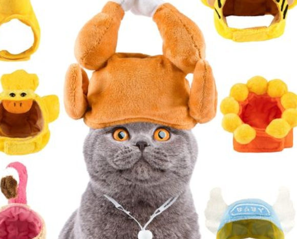 宠物帽子贵不贵 宠物帽子贵不贵