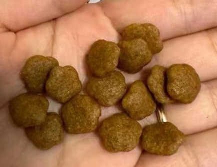 毛球吾宠狗粮怎么样 毛球吾宠狗粮怎么样