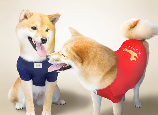 kanine宠物衣服怎么样