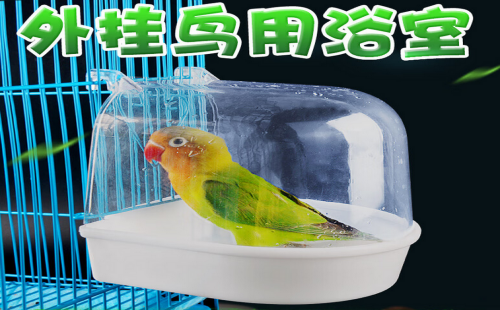 涵瑶伊笑