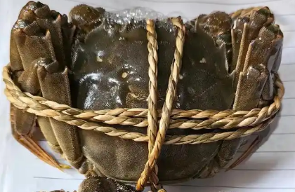 百鲜洽大闸蟹真的阳澄湖吗