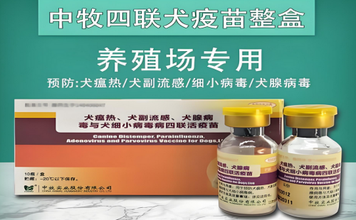 中牧
