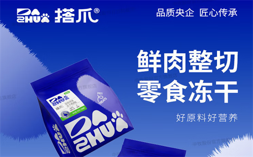 搭爪