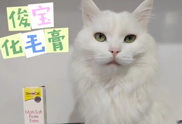 俊宝俊喵化毛膏好不好 俊宝俊喵化毛膏好不好