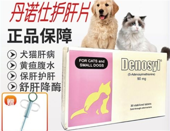 丹诺仕真伪大揭秘!-宠物网