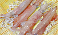 胆固醇高可以吃鱿鱼吗