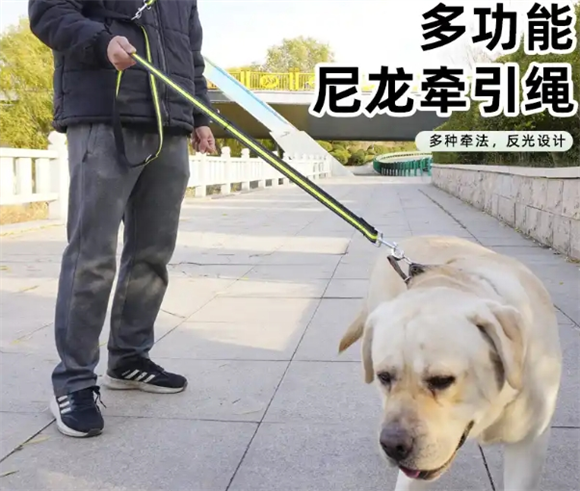 宠德多牵引绳的材质是什么