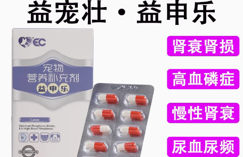益宠壮宠物胶囊——全面守护宠物健康的新选择 益宠壮宠物胶囊——全面守护宠物健康的新选择