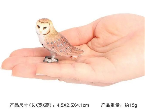 鸟类玩具有啥