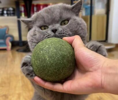 饰宠喵猫薄荷球多久给猫舔一次 饰宠喵猫薄荷球多久给猫舔一次