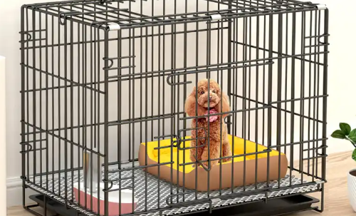 宠物笼子到哪里买 宠物笼子到哪里买