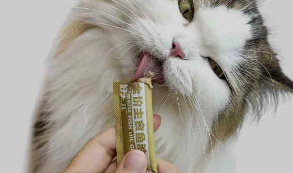 HDEPET好大儿主食优质鱼油猫条:给猫咪的极致宠爱 HDEPET好大儿主食优质鱼油猫条:给猫咪的极致宠爱