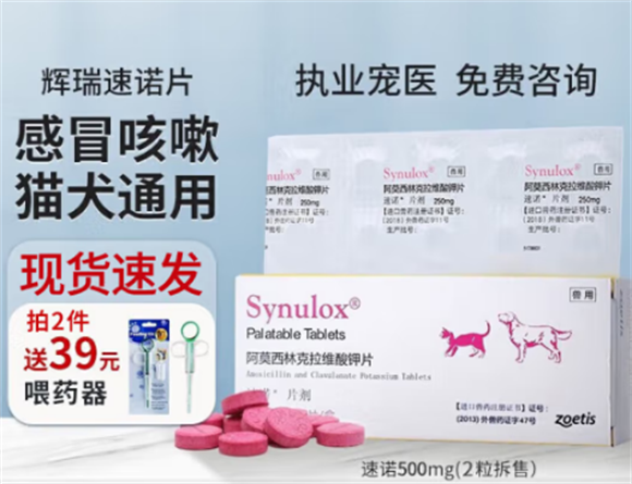 了解辉瑞速诺片,守护宠物健康-宠物网